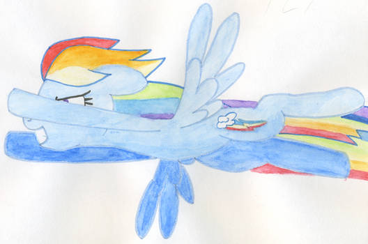 Rainbow Dash Fly !