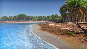 Foamy Shoreline (Benchmark)