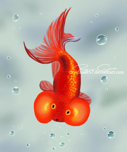 Deviantart 2007 Goldfish Goldfish by reginaac57 on DeviantArt