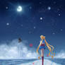 Sailor Moon - Gazing after Tuxedo Mask