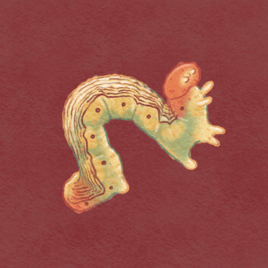 Inchworm by ameliaclairearts on DeviantArt