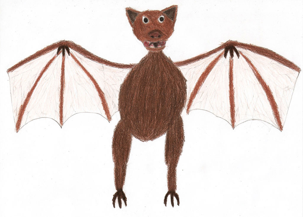 Vampire Bat by PCX-Art on DeviantArt