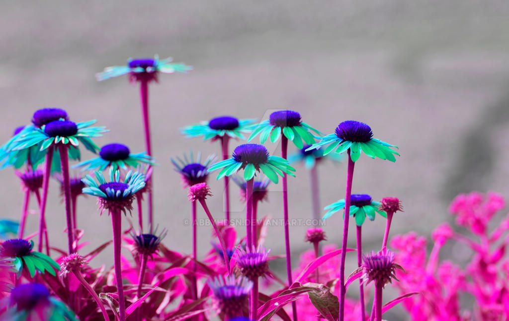 Screaming Color Screaming Color by abbyhdsn on DeviantArt