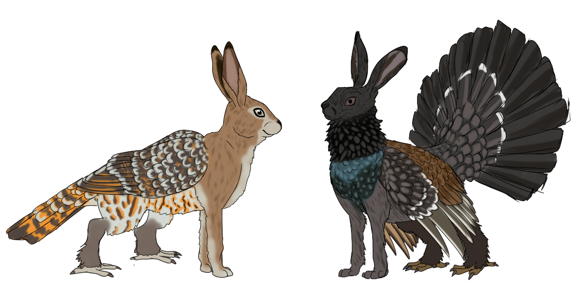 Skvder Rabbit Skvader by Cyclone62 on DeviantArt