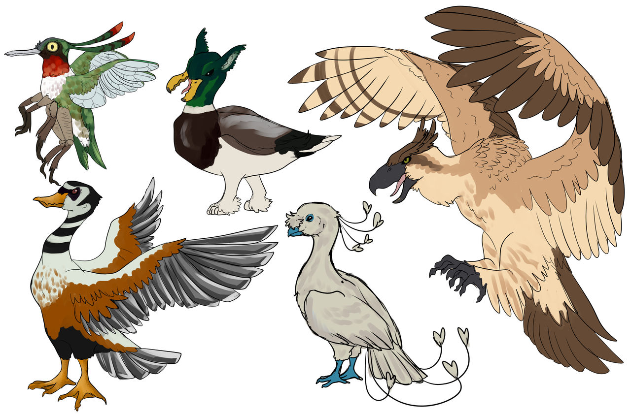 Deviantart Bird Designs mythical birds 2 by Cyclone62 on DeviantArt