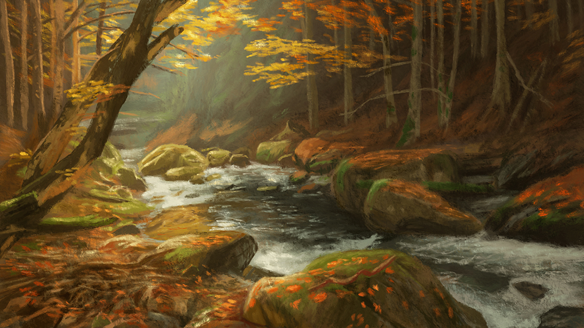 Autumn Forest