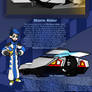 Radical Racer: Storm Rider