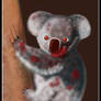 .Fuzzy Zombie Koala.