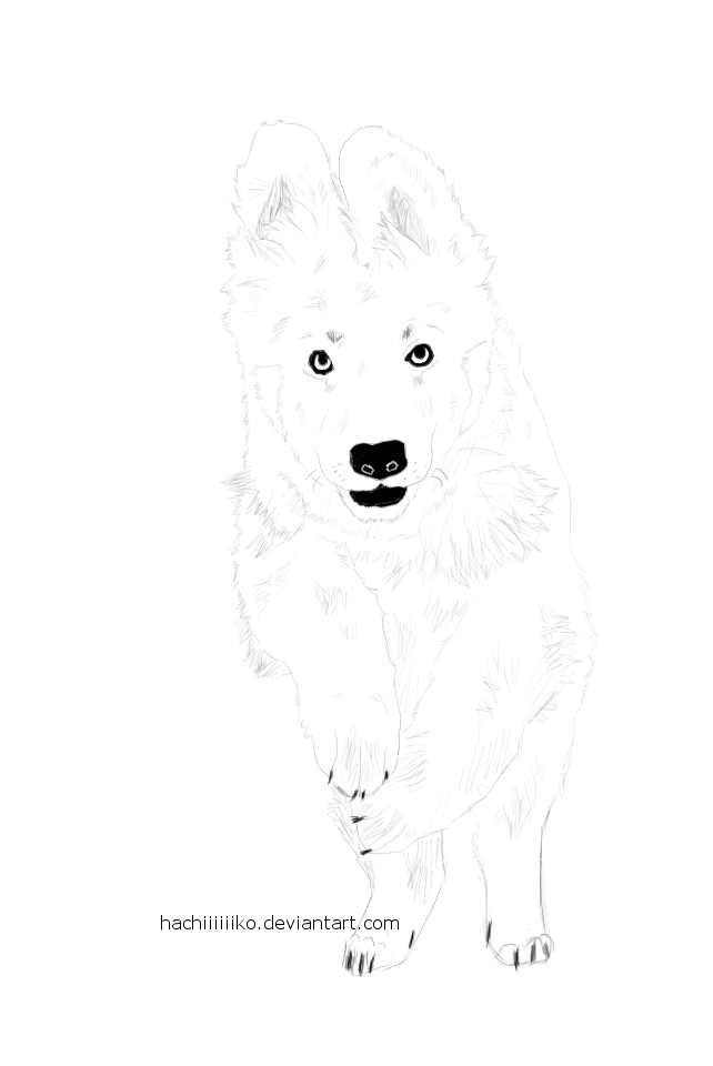 German Shepherd Pup Lineart #1