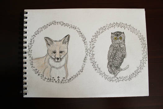 Fox and Owl