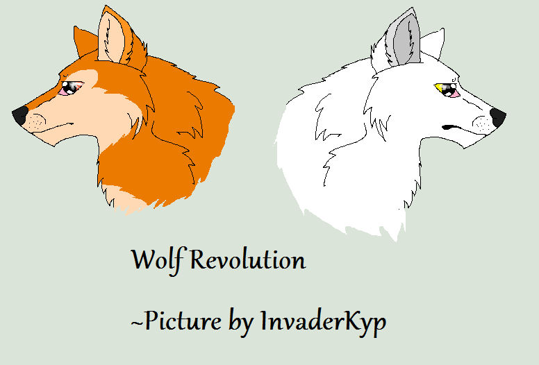 new wolf revolution header by Melodraca on DeviantArt