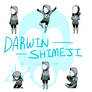 DARWIN SHIMEJI