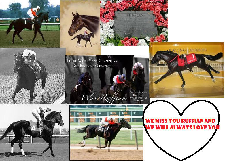 Ruffian Wallpaper- paint by BreyerCollector on DeviantArt