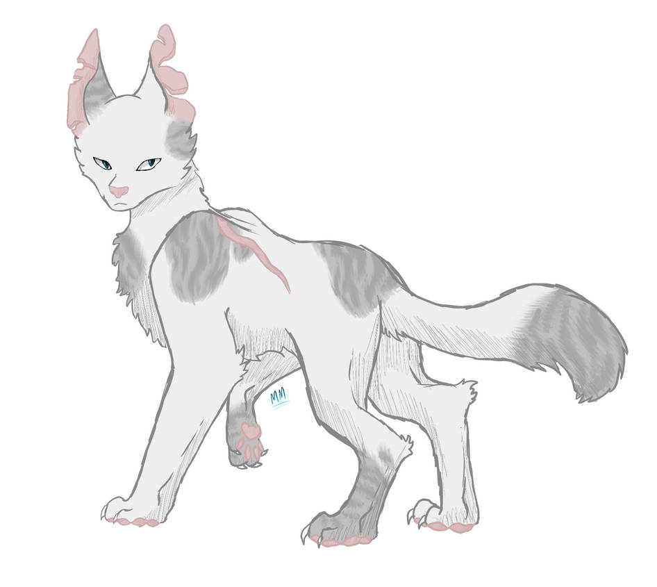 Ivypool Roseshards Ivypool by 600somethingsomethin on DeviantArt