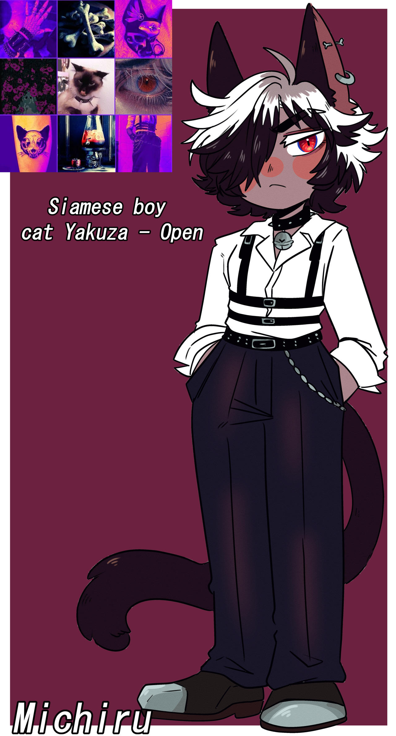 Siamese boy cat Yakuza - Open Adoptable