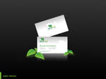 Optivita Business Card v2 by snozexp