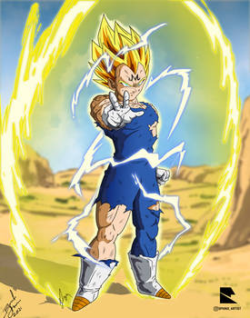 Majin Vegeta Colors Done