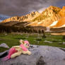 Lake Virginia Sunset - Flutterbat Plush