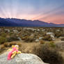 Light of the Mountains - Flutterbat Plush