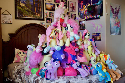 Pony Plushie Pyramid 2021