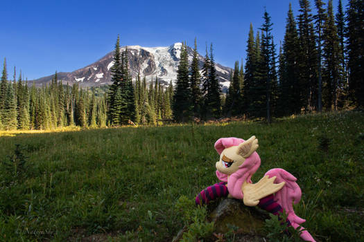 Flutterbat Mountain Meadow