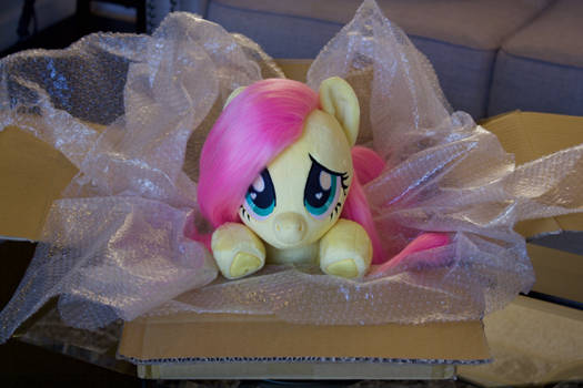 Fluttershy is Here!