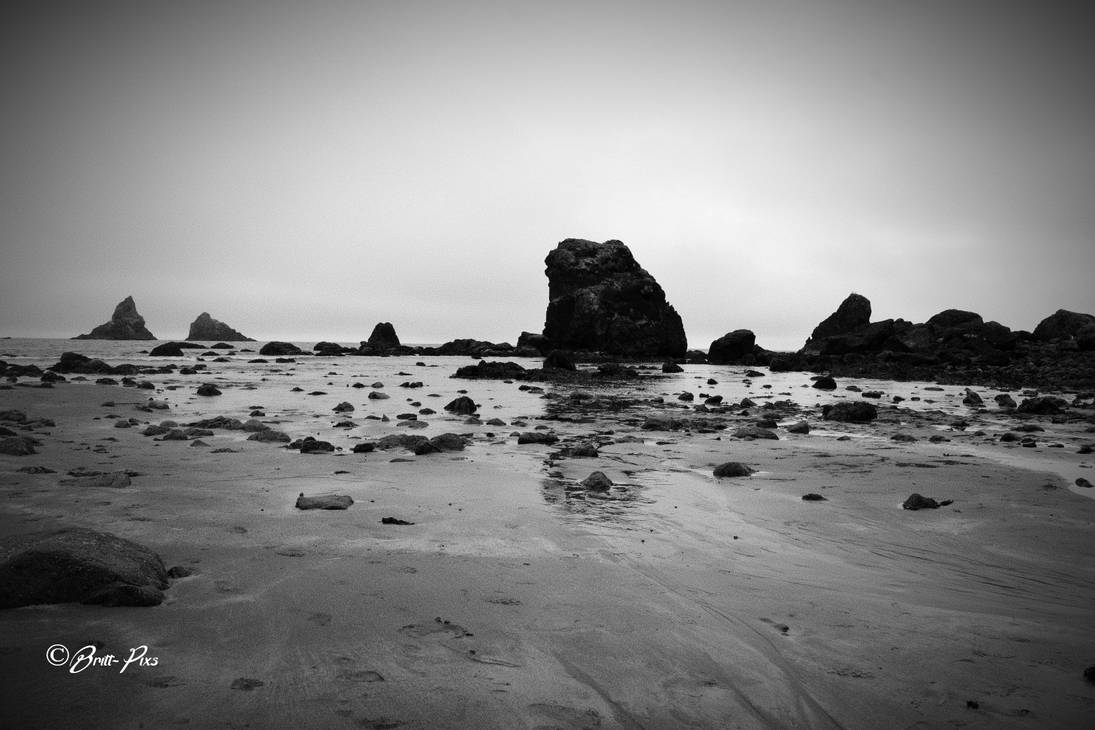 BW Beach Low Tide By Britt Pixs On DeviantArt bw-beach-low-tide-by-britt-pixs-on-deviantart