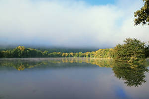 Under the fog! A peaceful mirror