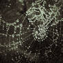 Dark rain
