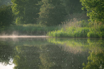 Nature-ellement belle (3)