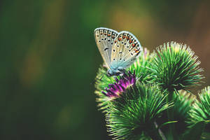 Simply life by DavidMnr Simply life by DavidMnr