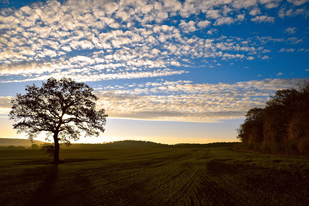 Petit Matin by DavidMnr Petit Matin by DavidMnr