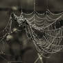Incertitude