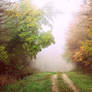 Follow me