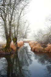 Les silences de l'hiver