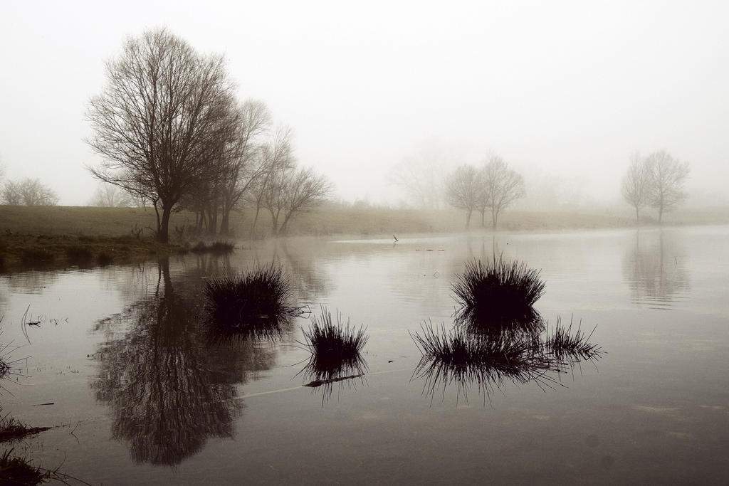 Les silences de l'hiver