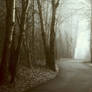 The path