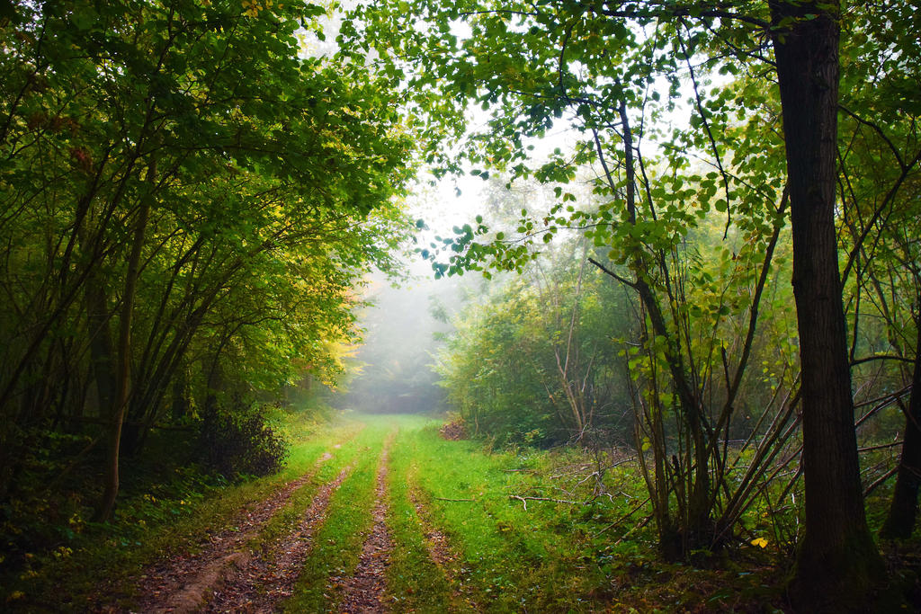 A l'aube d'un nouveau jour