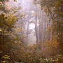 Autumn painting