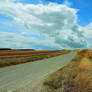 Follow the sky