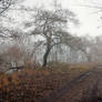 Les silences de l'hiver