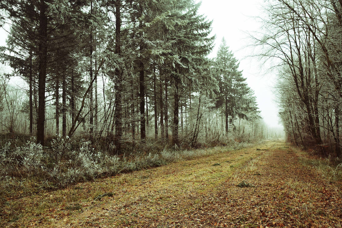 In a deep silence by DavidMnr on DeviantArt