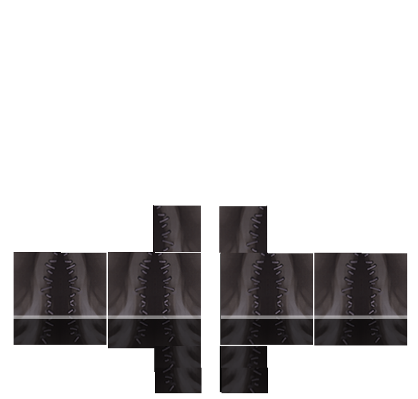 Roblox Transparent Pants Template