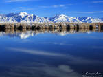Blue Reflection by CanenArt