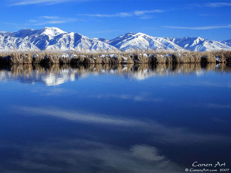 Blue Reflection