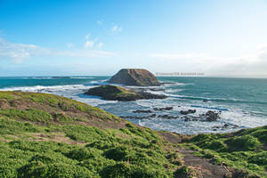 Seal Rocks