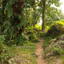 Nang Rong Wilderness