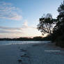 Evening At Callala Beach