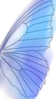 Butterfly Wing 3