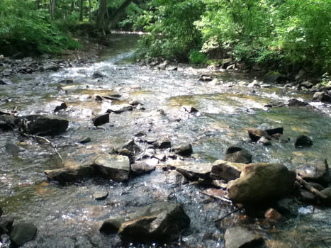 A Babbling Creek